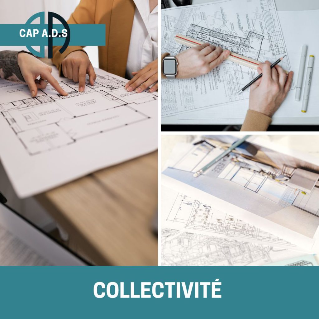 Collectivite